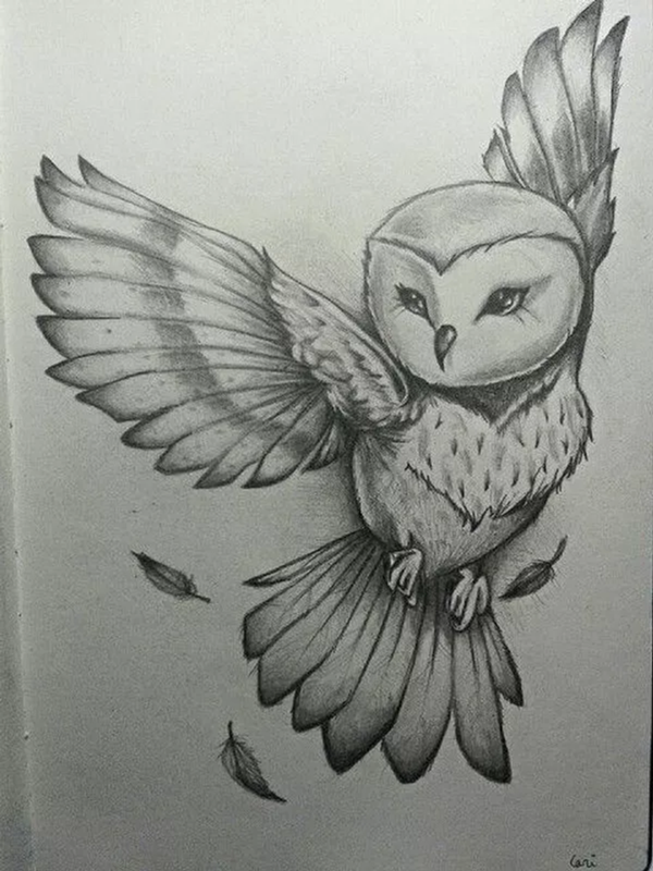 85 Simple And Easy Pencil Drawings Of Animals For Every