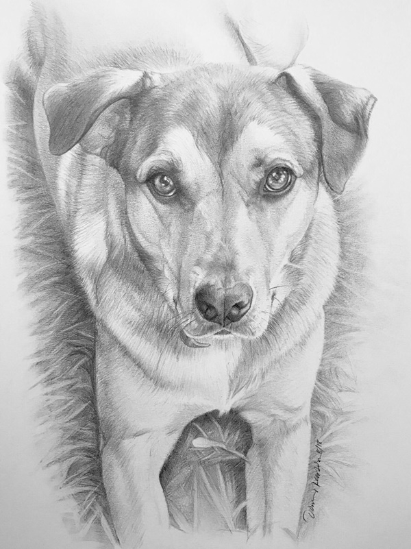 Pencil Drawings Of Animals Easy, Buy Now, Top Sellers, 60% OFF,  
