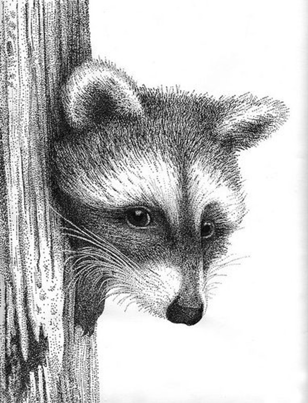 Simple And Easy Pencil Drawings Of Animals