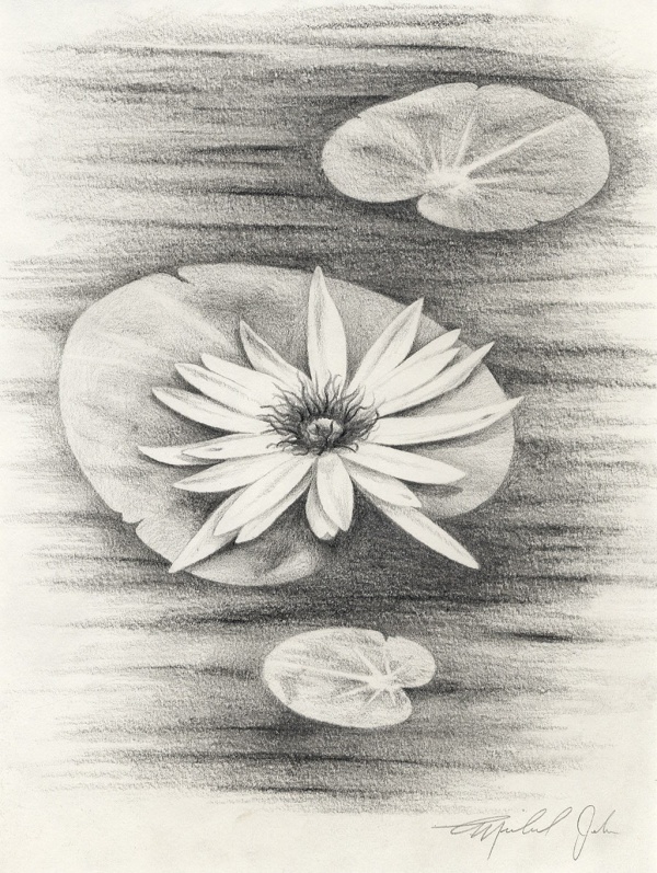 Easy Flower Pencil Drawings For Inspiration